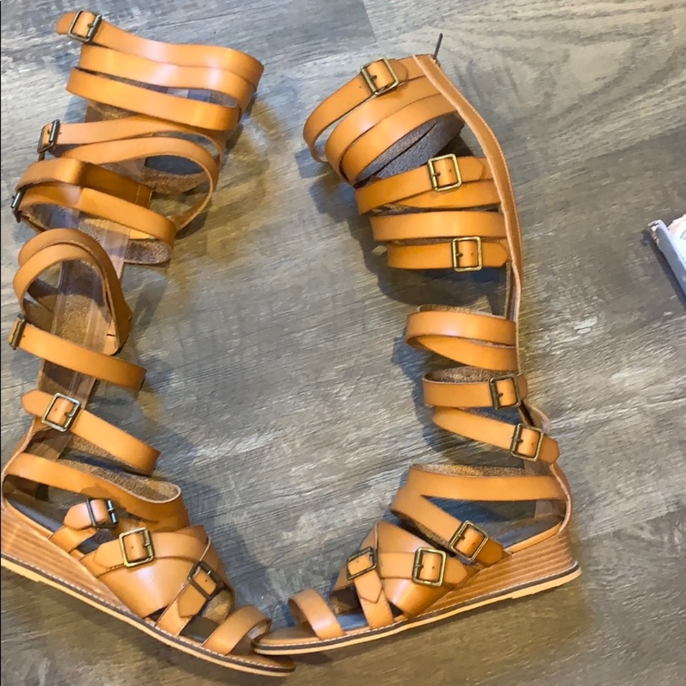 Anthropology/ Farylrobin gladiators